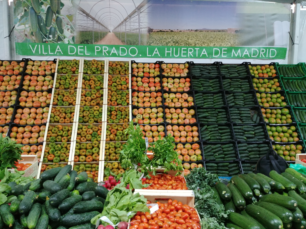 Fresh Madrid